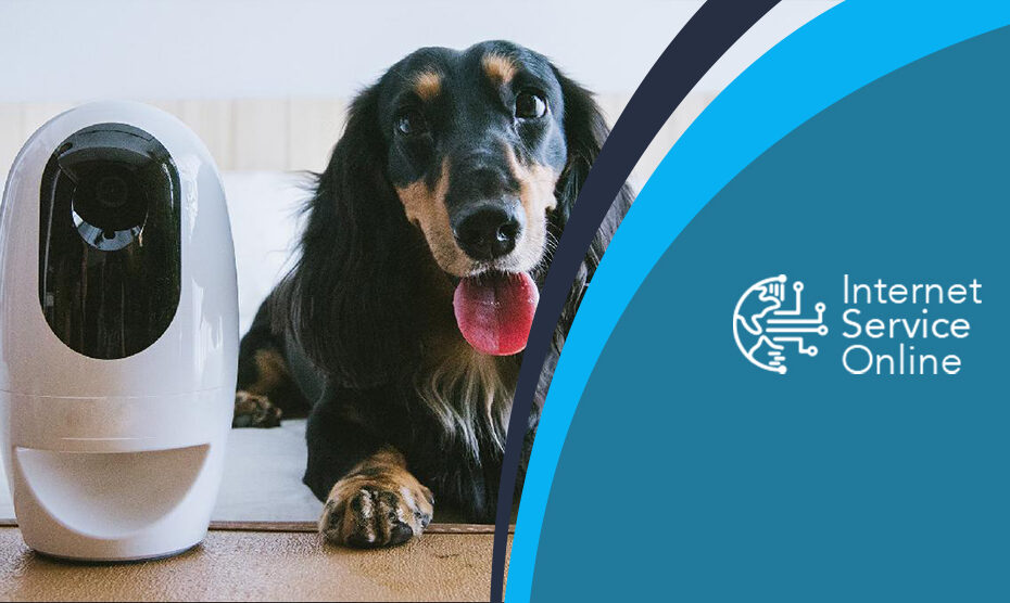 Best Smart Home Security Systems for Pet Owners